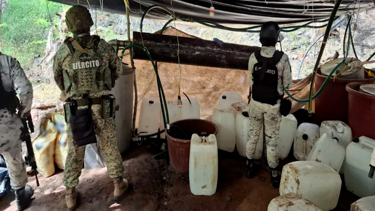Desmantelan laboratorio clandestino en Sinaloa; estiman golpe al crimen por 428 mdp