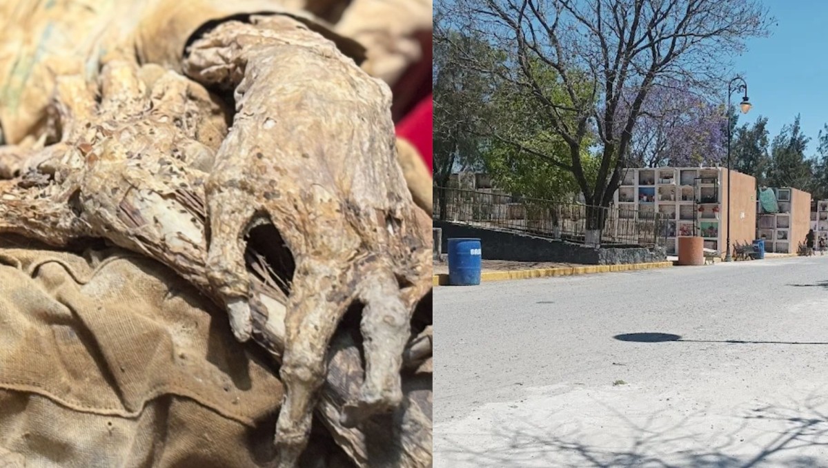 Empleados del Panteón Municipal Sur de Celaya realizaron el hallazgo de la momia. | Especial