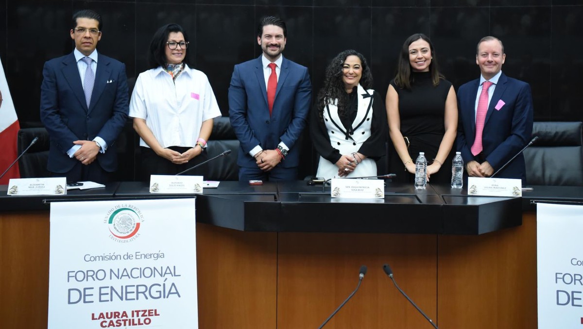 Se realizó un Foro de Energía en el Senado de la República.