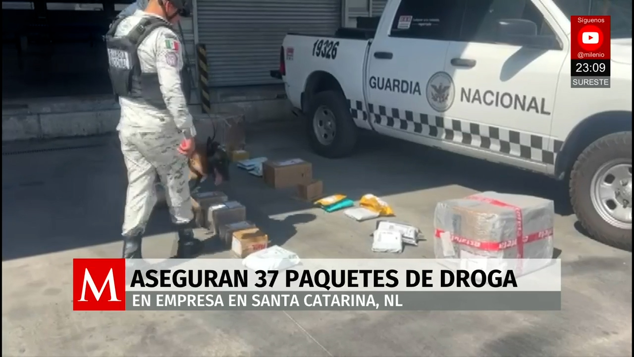 Guardia Nacional decomisa 35 kilos de marihuana en empresa de paquetería en Nuevo León
