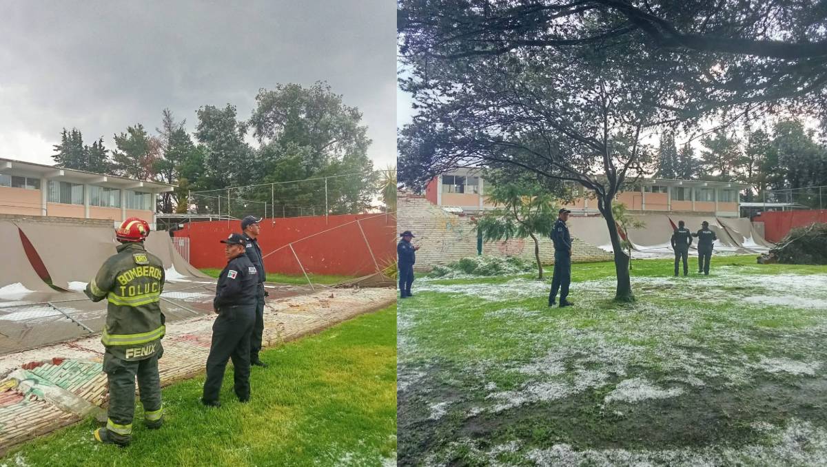 Tras lluvias en Toluca, autoridades retiraron árboles caídos y monitorean afluentes en puntos propensos a inundación.| Especial
