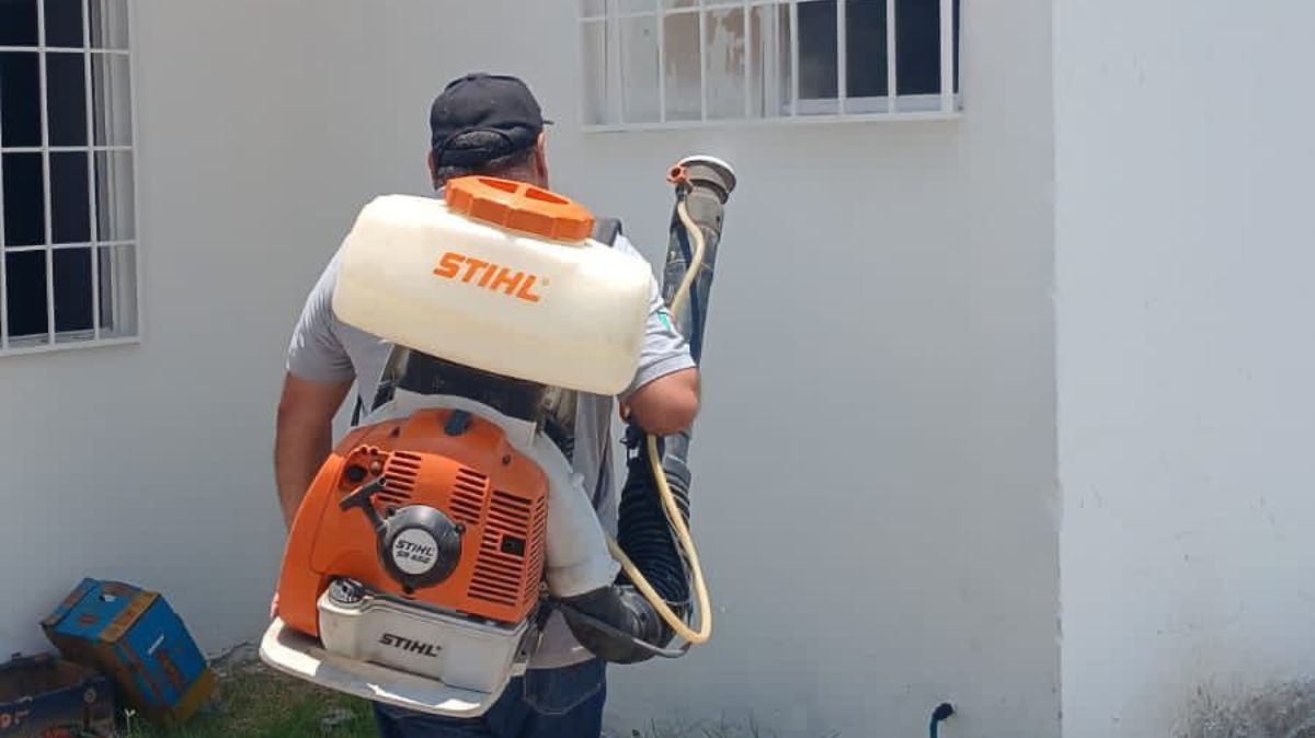 Em Gómez Palacio refuerzan campañas contra garrapatas y dengue. | Archivo
