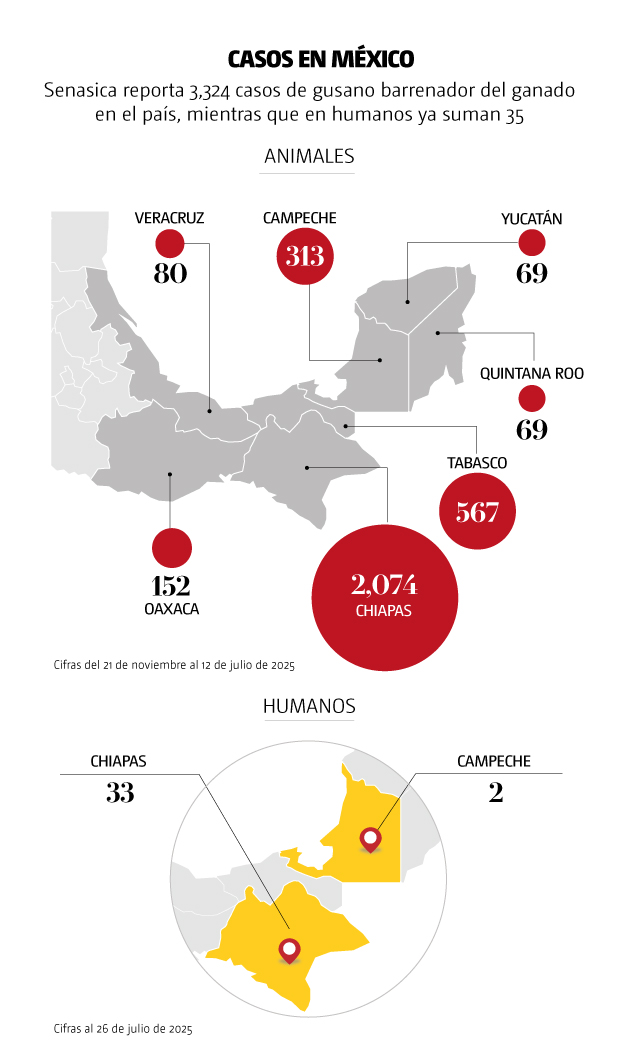 infografia 5