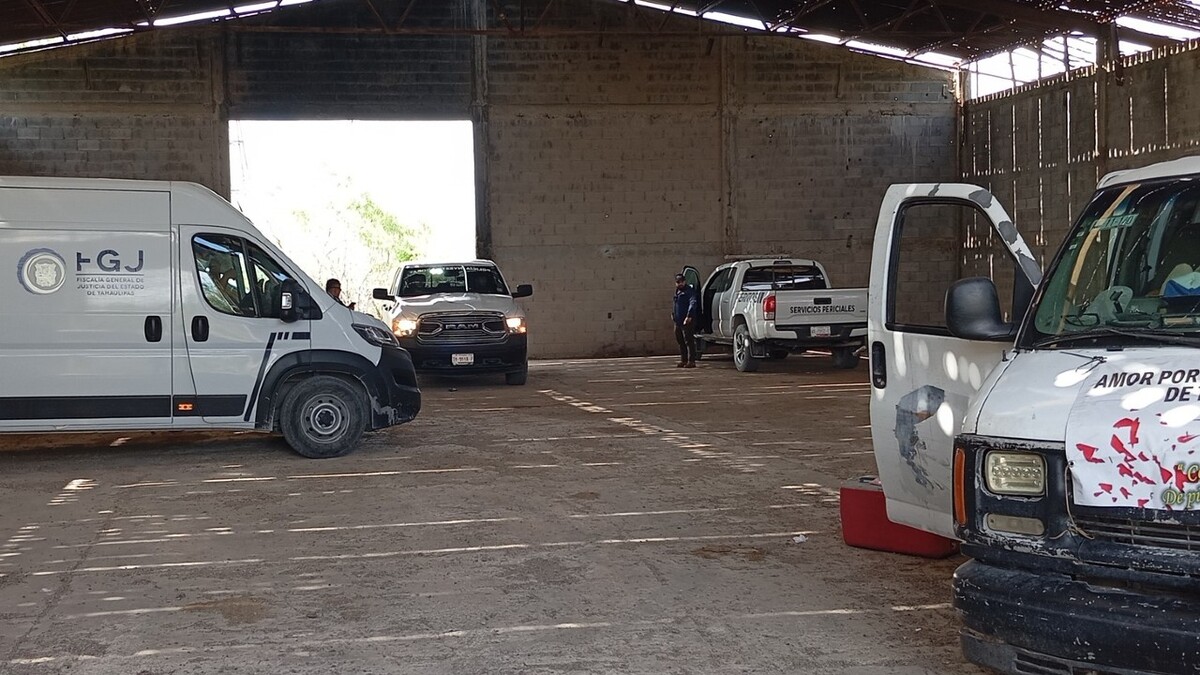 Hallan nuevos restos óseos en sitio de exterminio en Tamaulipas