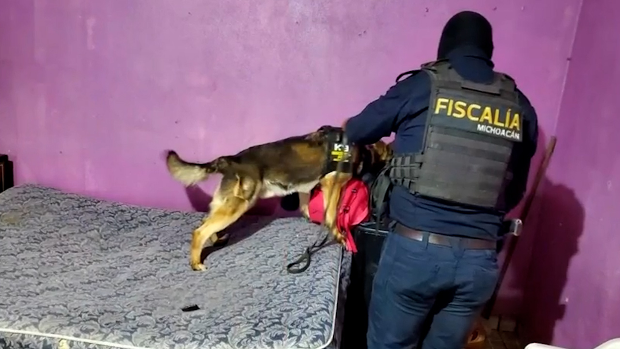 Cateos en Morelia deja 7 personas detenidos y decomiso de 3 mil dosis de droga
