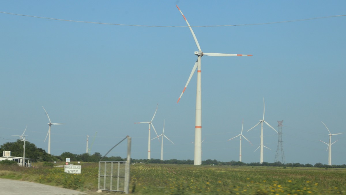 Tamaulipas tendrá un nuevo parque eólico. (Yazmín Sánchez)