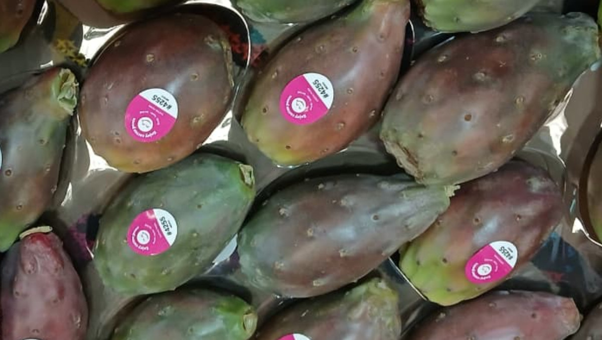 Tuna poblana fortalece presencia en EU y busca llegar a nuevos mercados | Especial