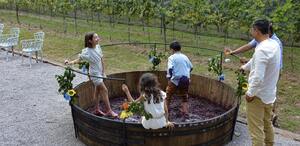 El 9 y 16 de agosto se celebra La Vendimia 2025, que incluye catas de vino, música en vivo, pisado de uvas, charcutería y experiencias en el spa.