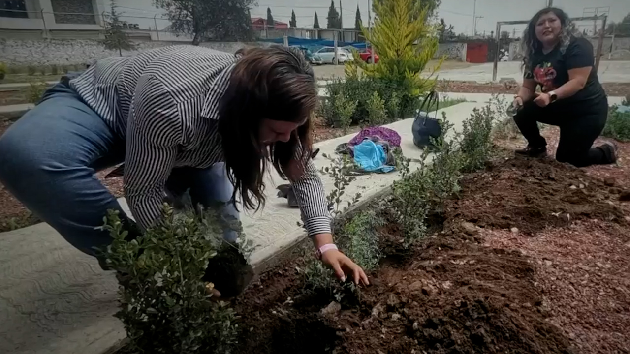 Huertos menstruales, una alternativa natural para la salud femenina en Hidalgo