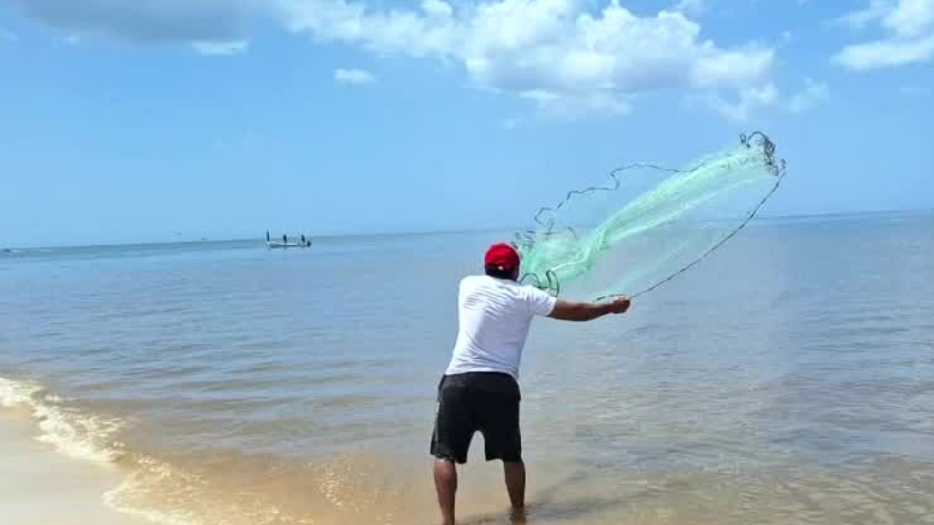 Se reporta presencia de marea roja en las aguas del mar de Yucatán