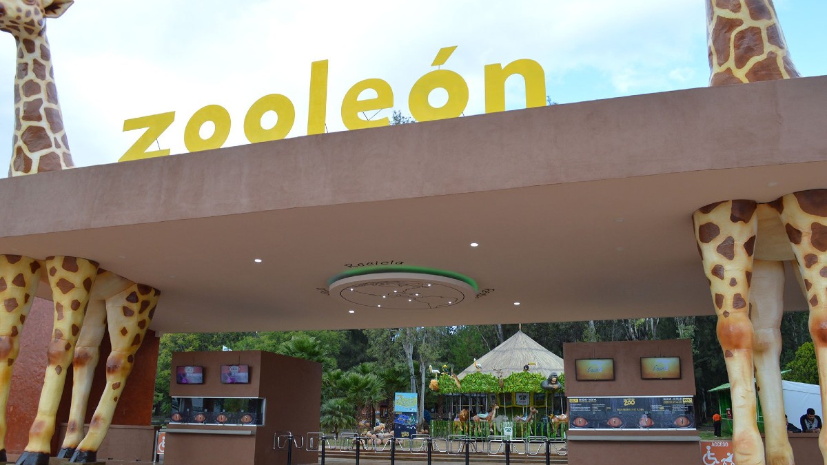 Zooleón. | Especial