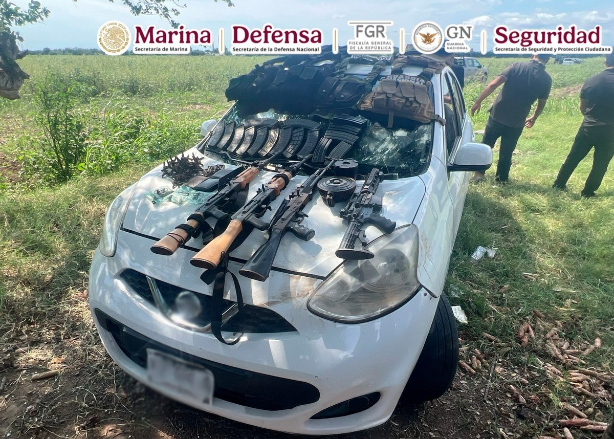 A los detenidos les aseguraron varias armas largas.