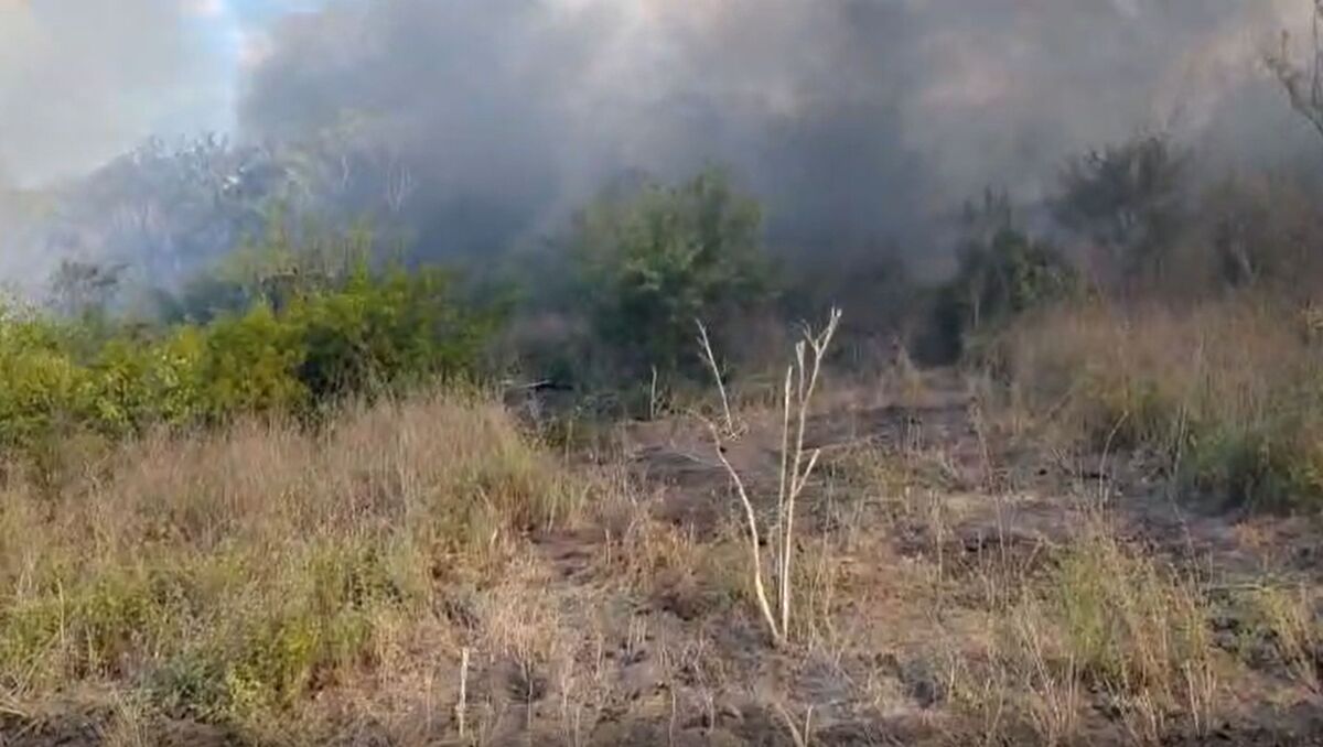 Elementos de Protección Civil acudieron al lugar para controlar el fuego. | Especial.