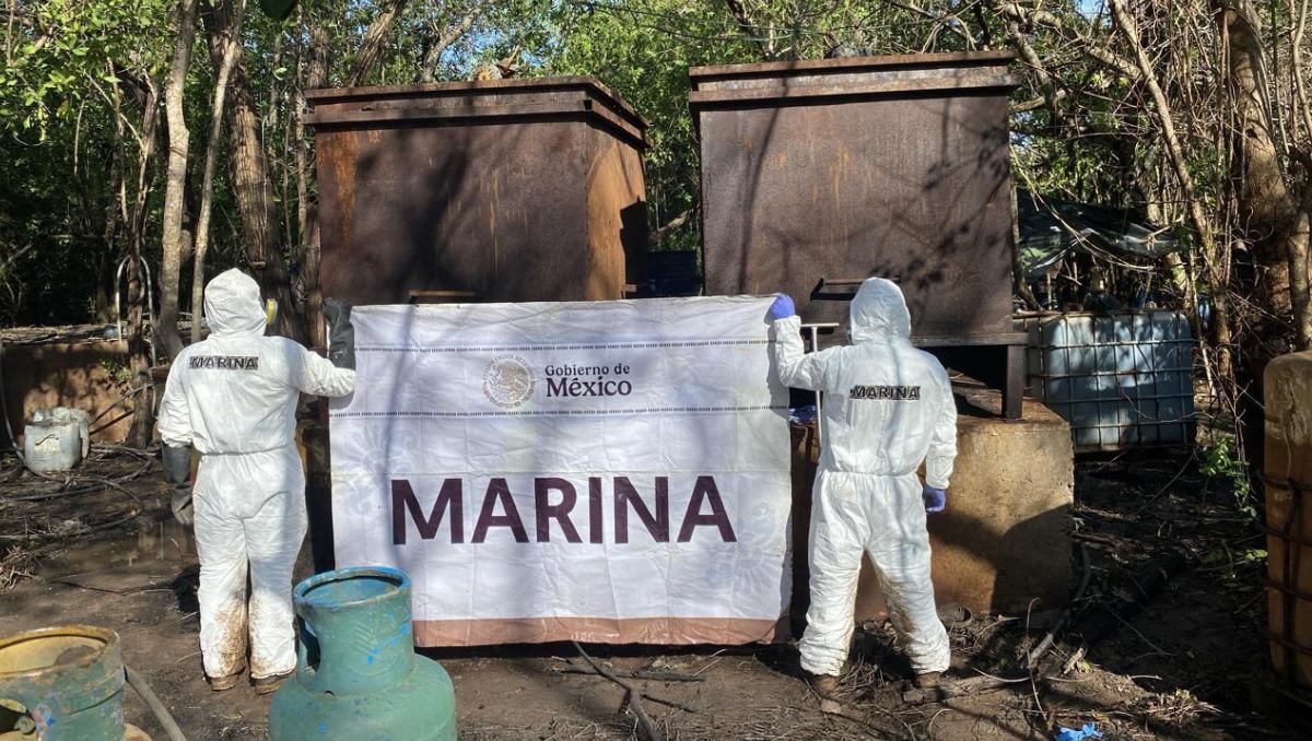 La acción fue encabezada por elementos de Marina en coordinación con Defensa, FGR, GN y SSPC. | Especial