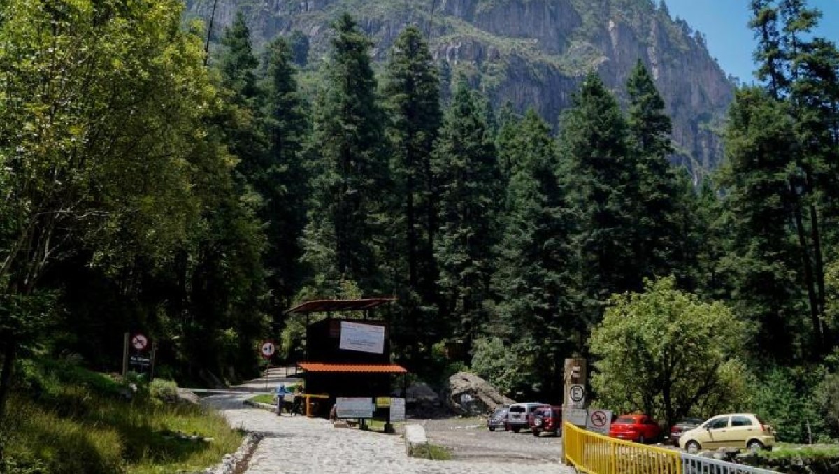 El Parque Nacional Los Dinamos es ideal para un tiempo entre naturaleza | Especial