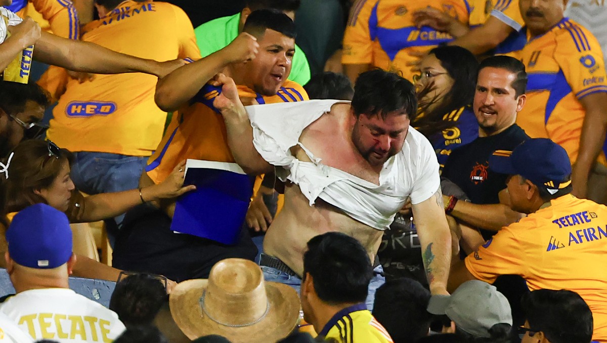 Aficionados de Tigres se agarron a golpes durante el partido ante América (Imago7)