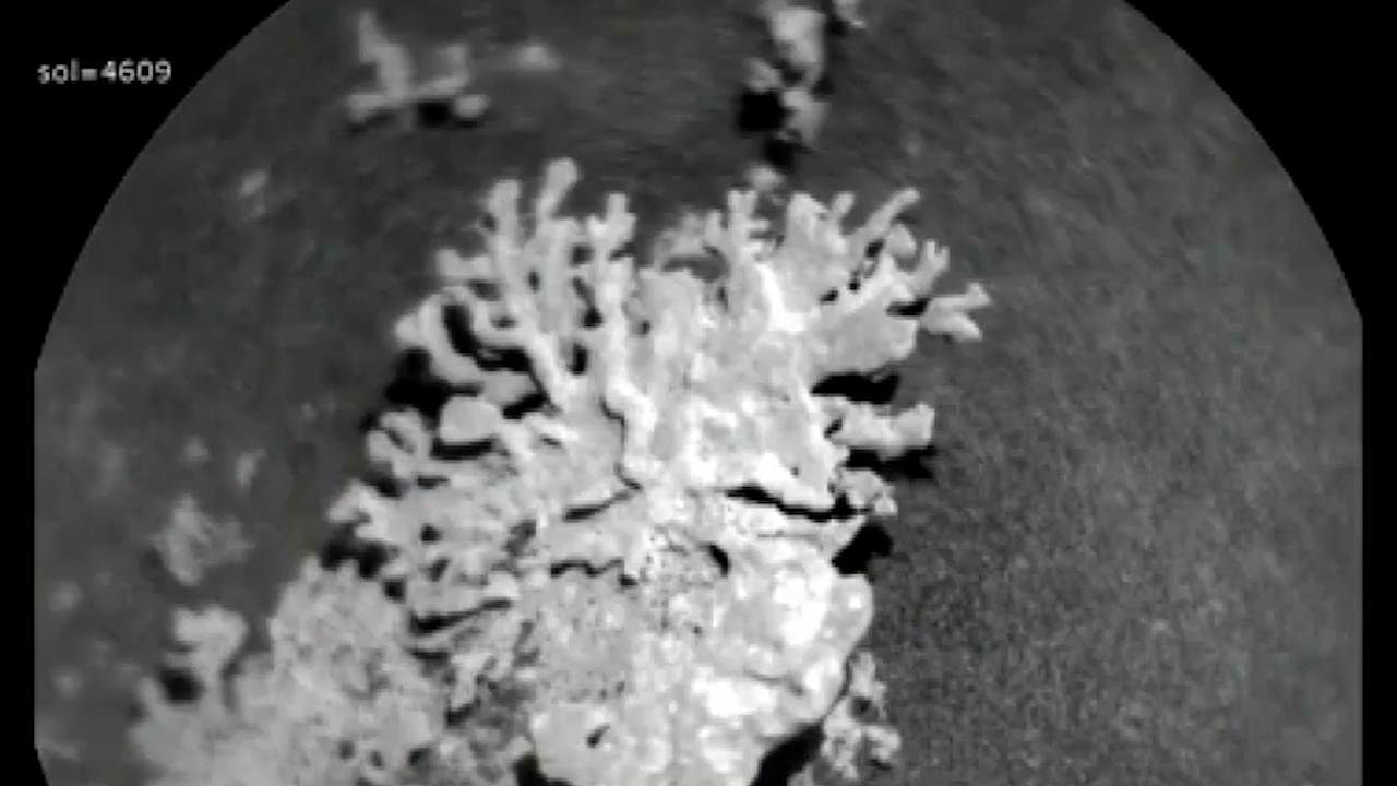 El astromóvil de la NASA ha descubierto en Marte una pequeña roca en forma de coral