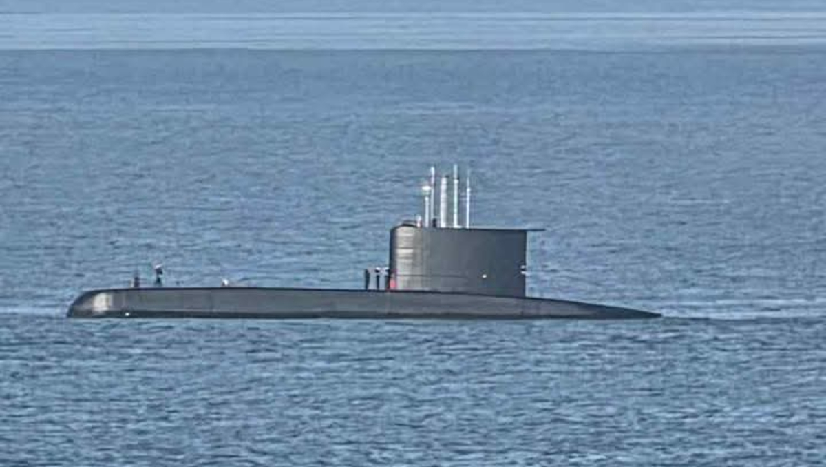 El submarino sorprendió a los visitantes que lo divisaron a lo lejos (Foto: Redes Sociales)