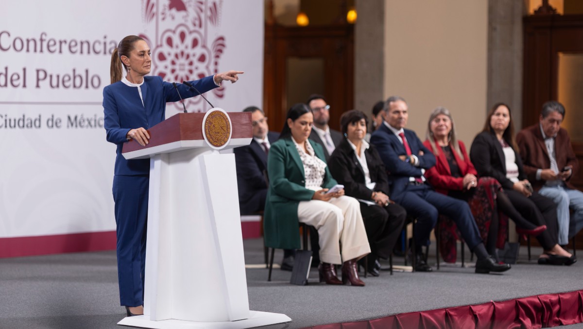 La Presidenta expresó que existen contratos privados con Texas para obtener gas natural. | Foto: Presidencia