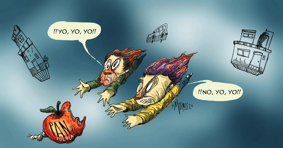 Elecciones internas