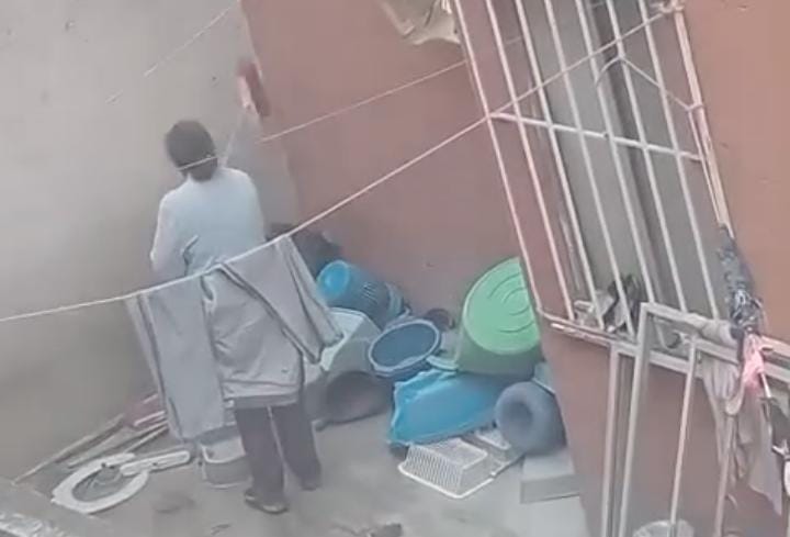 Mujer es captada dando escobazos a perrito. (Cortesía)