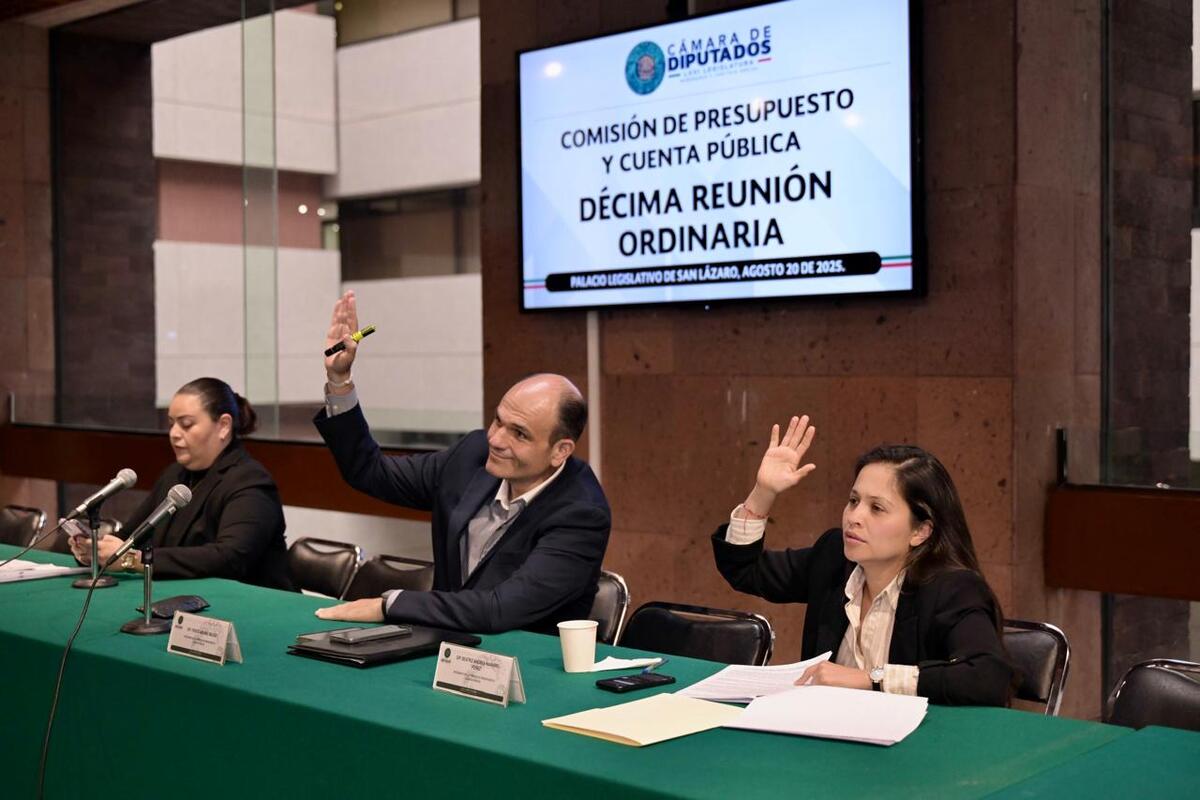 La iniciativa establecía que la asignación en la materia no podría ser menor que la del ejercicio anterior. | Especial