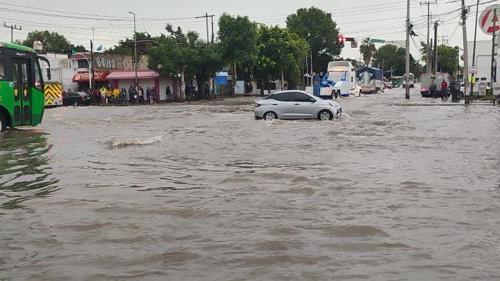 Varios vehículos quedaron varados. (Fátima Briceño)