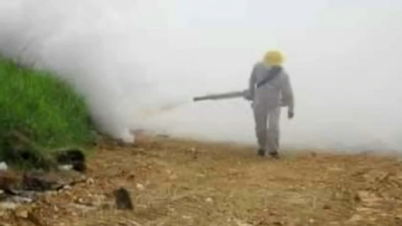 Hidalgo reporta más de 36 casos de dengue; Salud pide reforzar medidas preventivas