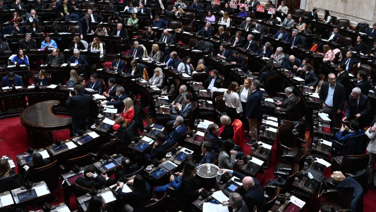 Con 160 votos a favor, 83 en contra y 6 abstenciones, los diputados convalidaron el veto. (Foto: AFP)