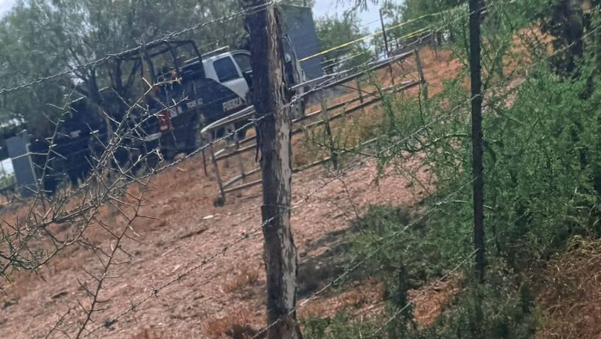 Autoridades localizaron al menos ocho armas largas. | Especial
