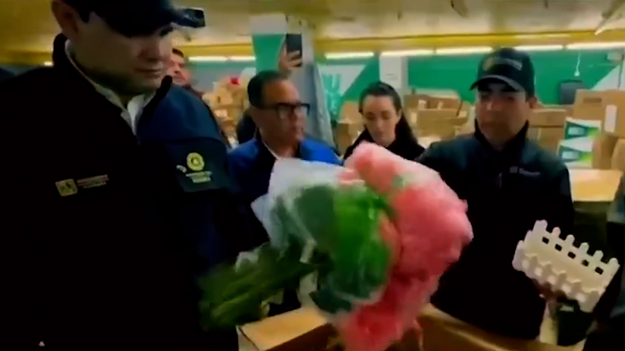 Operación Nacional Limpieza': uno de los ejes del gobierno Sheinbaum en contra de la piratería