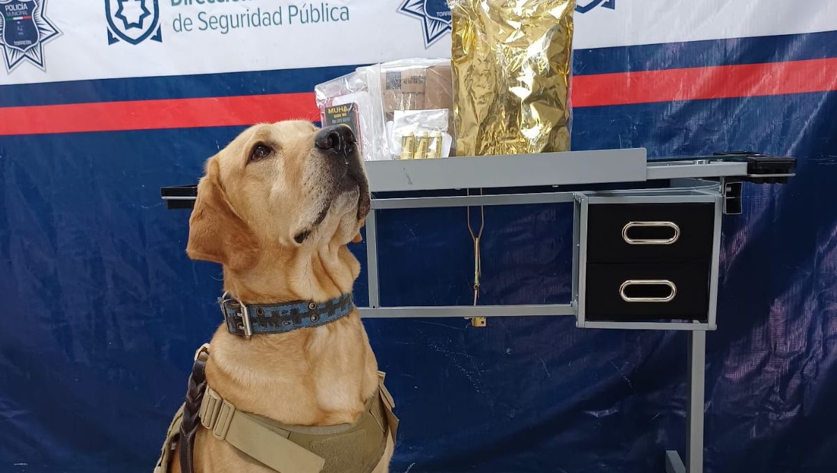 La droga y los vapeadores fueron interceptados en un envío con destino a Cuauhtémoc, Chihuahua. | Especial