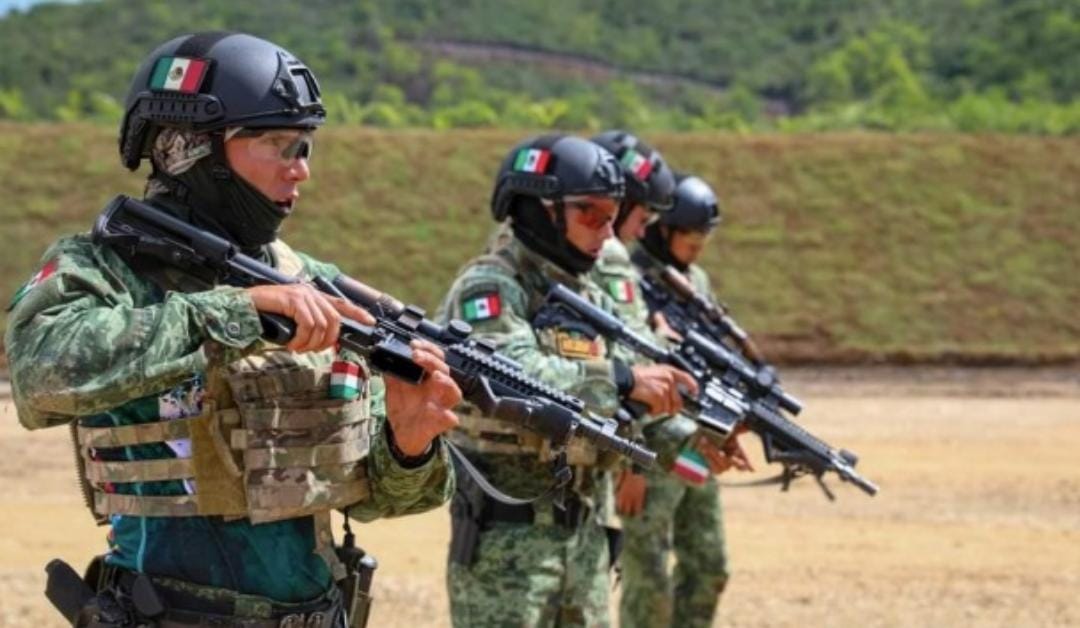 Los murciélagos son la élite del Ejército mexicano (Defensa).