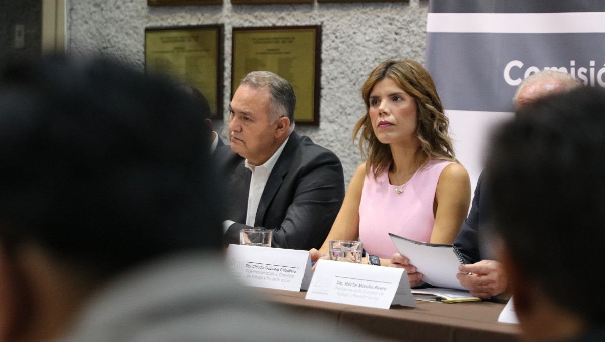 Claudia Caballero, diputada local, informó que será una reunión en privado en la sede estatal azul. Foto: Especial