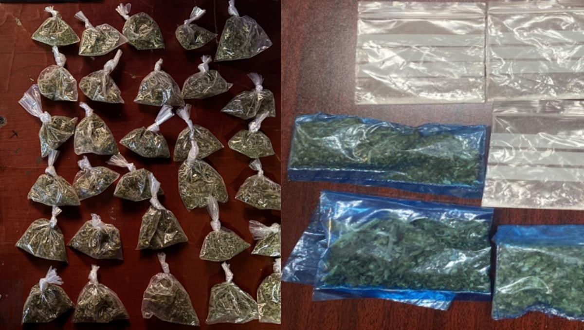 Dosis de drogas aseguradas por las autoridades durante los operativos en Sonora. | Especial