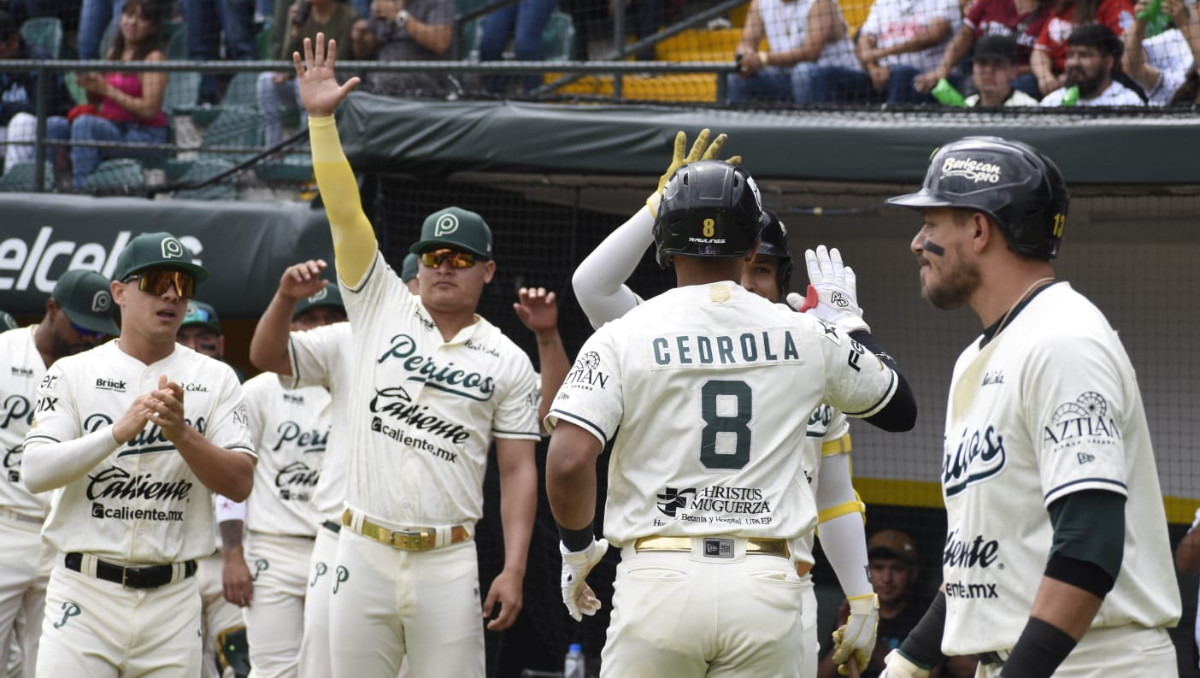 Pericos de Puebla | Especial