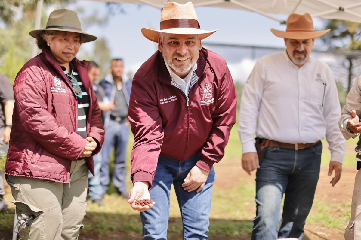 Plantación de zapote prieto en Michoacán | Especial