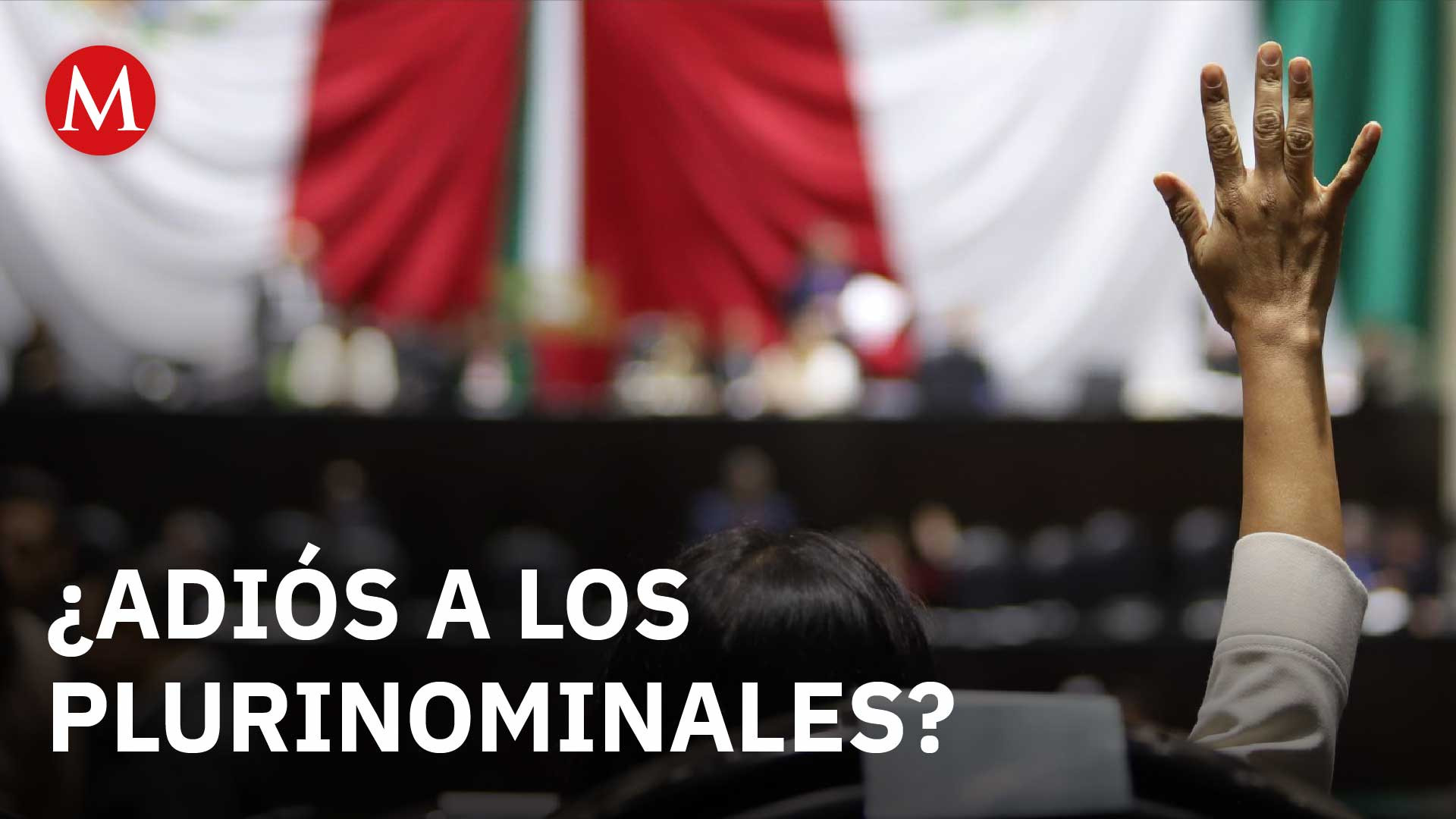 Reforma Electoral: ¿Adiós a los plurinominales? | Debate