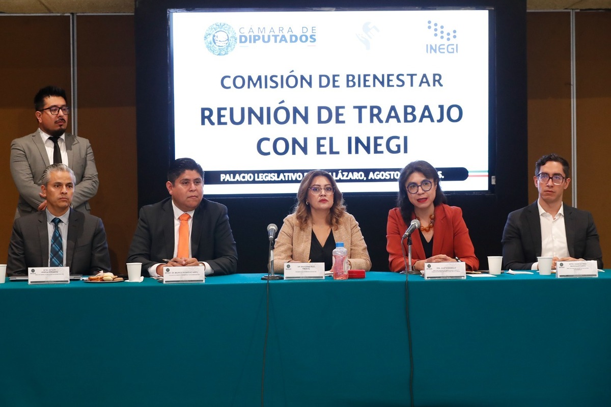 Los resultados ENIGH permiten conocer el mapeo de la realidad económica de los hogares. | Especial