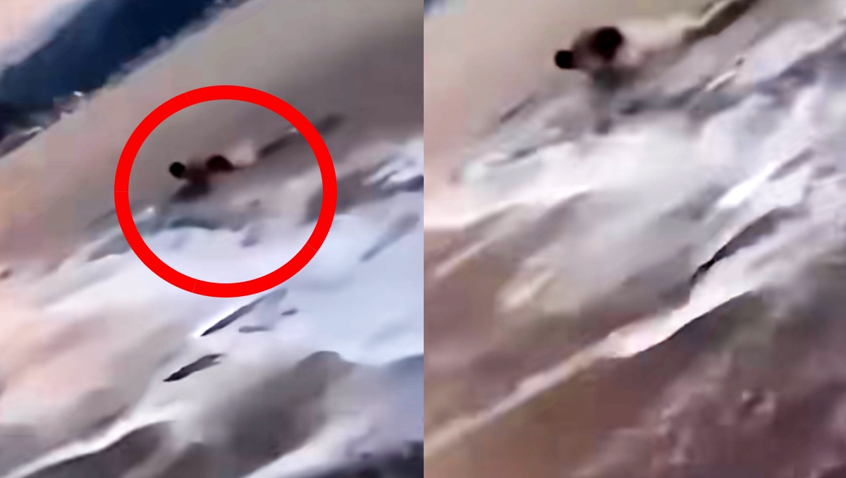 Cocodrilo aparece en playas de Puerto Vallarta. | ESPECIAL