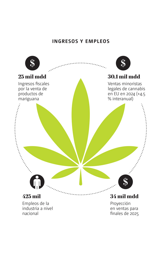 WEB-mariguana-2.jpg