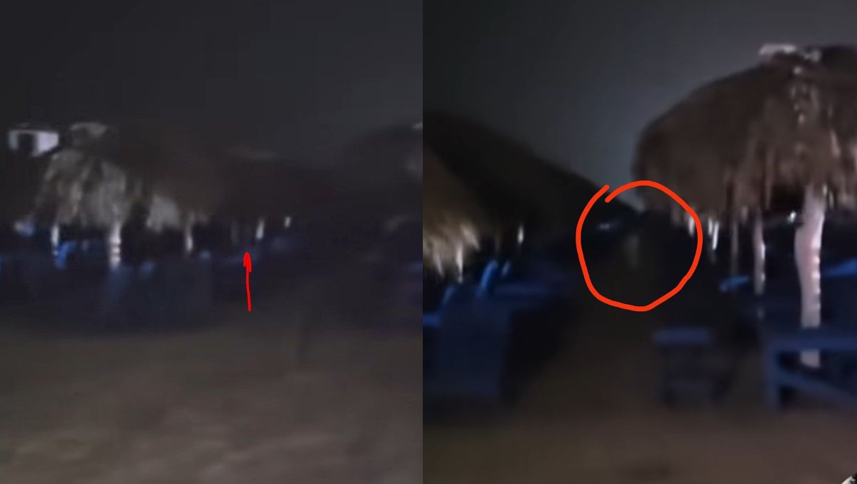 Video de niña fantasma en playa Miramar se hace viral