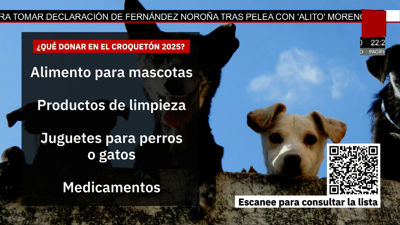 Croquetón 2025 recibe donaciones para mascotas en Ciudad de México