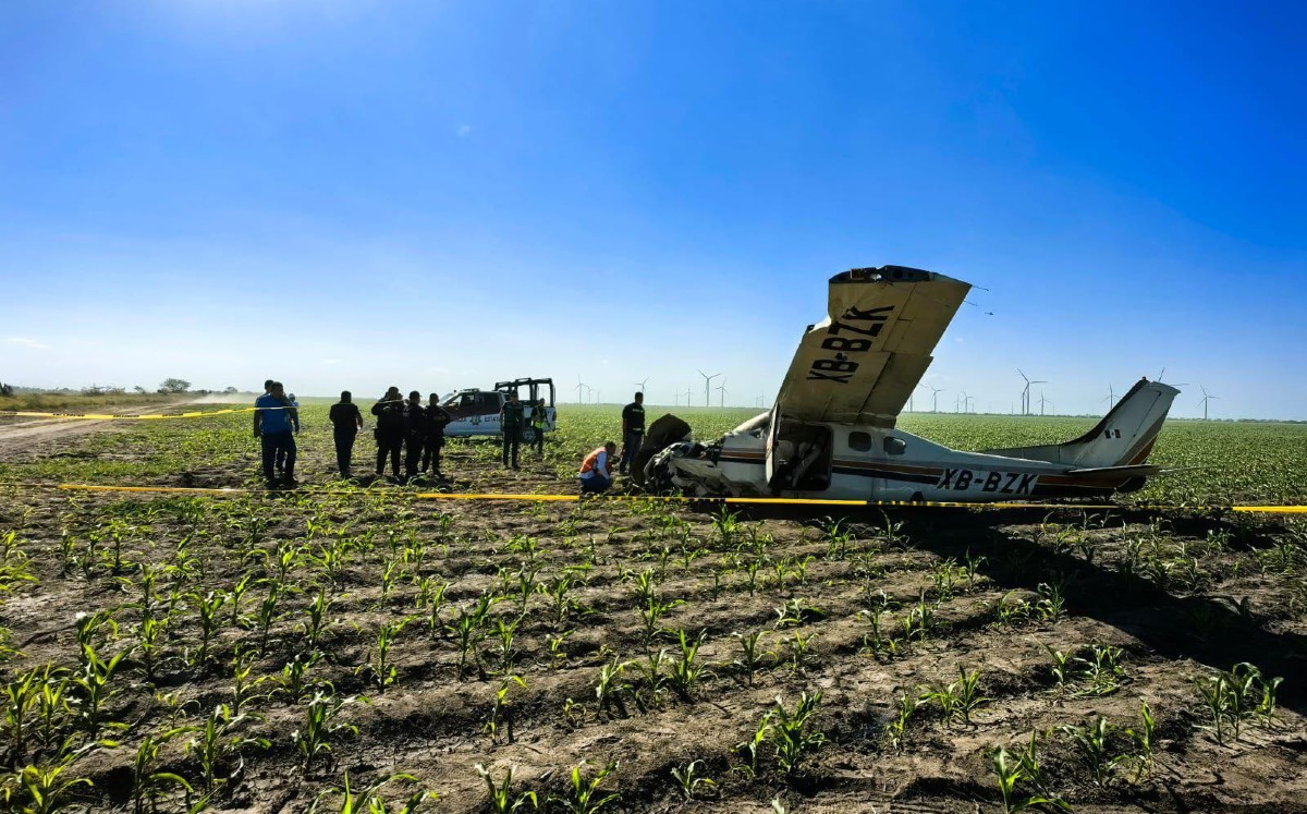Desplome de avioneta privada en la carretera Reynosa–San Fernando
