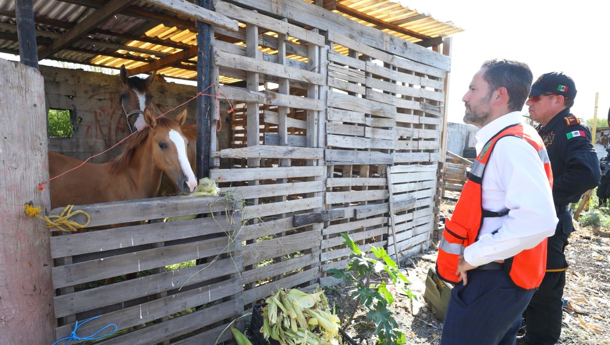 El operativo contó con la participación de 100 elementos de distintas dependencias ambientales y de seguridad. Especial