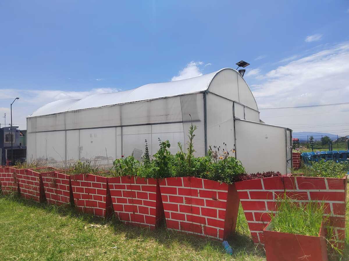 En Prepa 19 es una escuela sustentable. (Dalia Rojas).