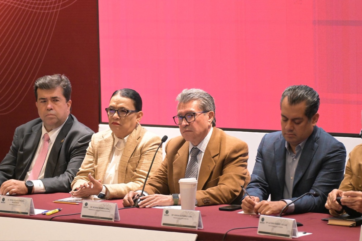 Rosa Icela Rodríguez participó en la reunión plenaria de Morena | Especial