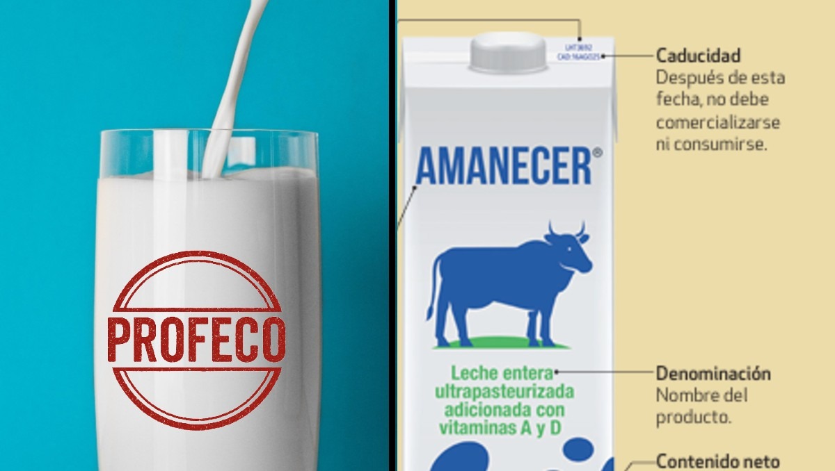 Esto es lo que contiene la leche, según Profeco | IA Discover MILENIO