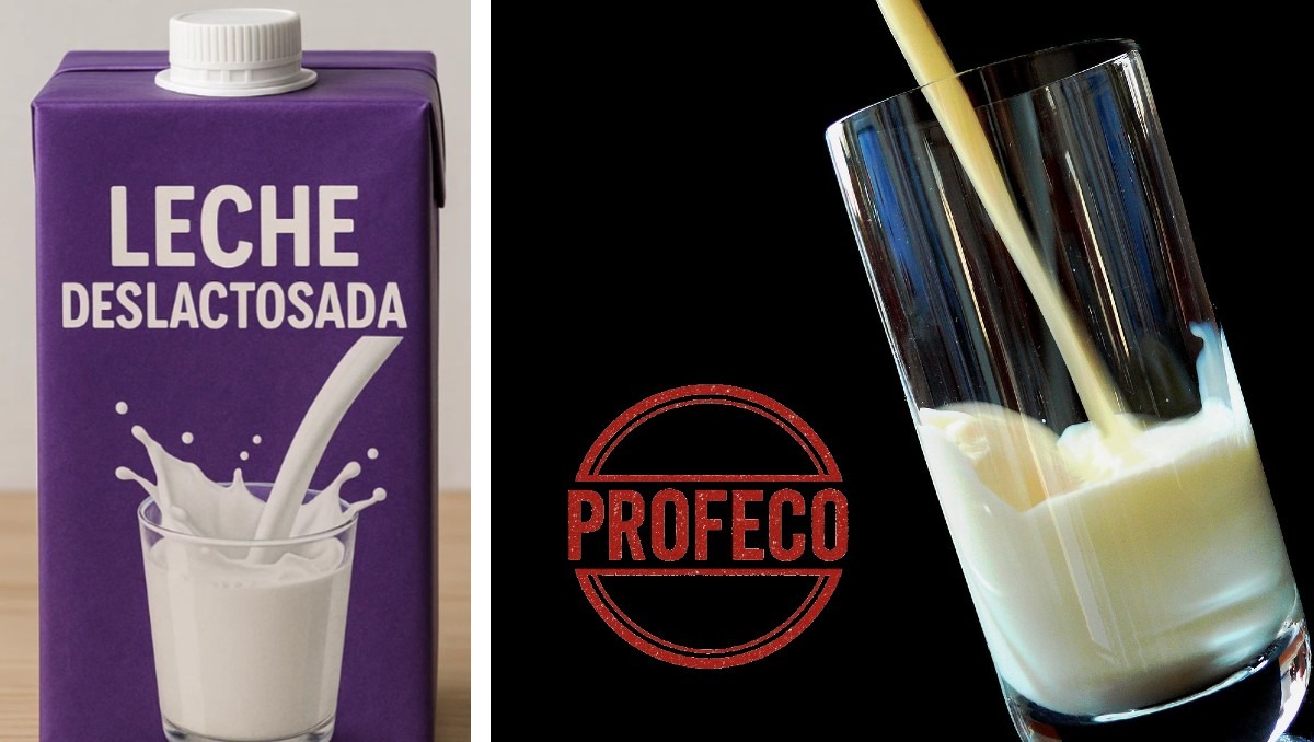 La leche deslactosada puede no solo es un tipo, también hay descremada y semi descremada | Especial Discover Milenio