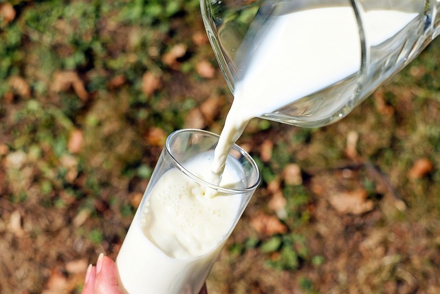 Leche entera ayuda a absorber mejor las vitaminas liposolubles | Pixabay